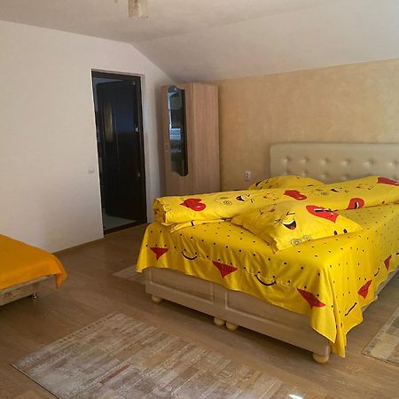 Pensiunea Casa Deny โนวาชิ-สเตรยนี ภายนอก รูปภาพ